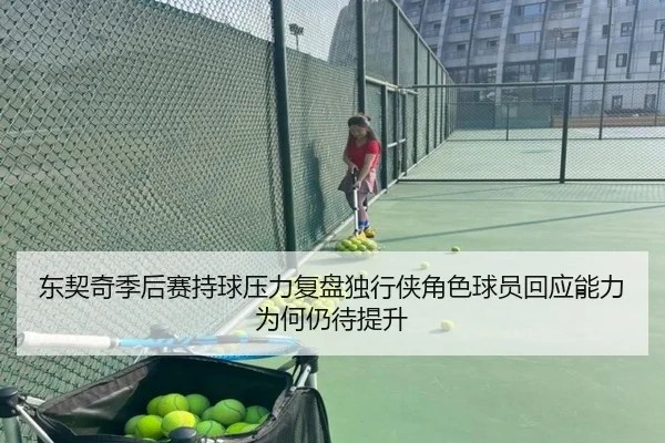 dong-qi-qi-ji-hou-sai-chi-qiu-ya-li-fu-pan-du-xing-xia-jue-se-qiu-yuan-hui-ying-neng-li-wei-he-reng-dai-ti-sheng-2-933.jpg